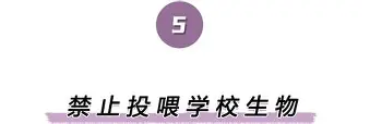 爱游戏电竞-包含离谱！莱万多夫斯基与90激战公牛分钟本菲卡围绕意甲临场应变，集结日曼联调整名单以备欧篮联的词条